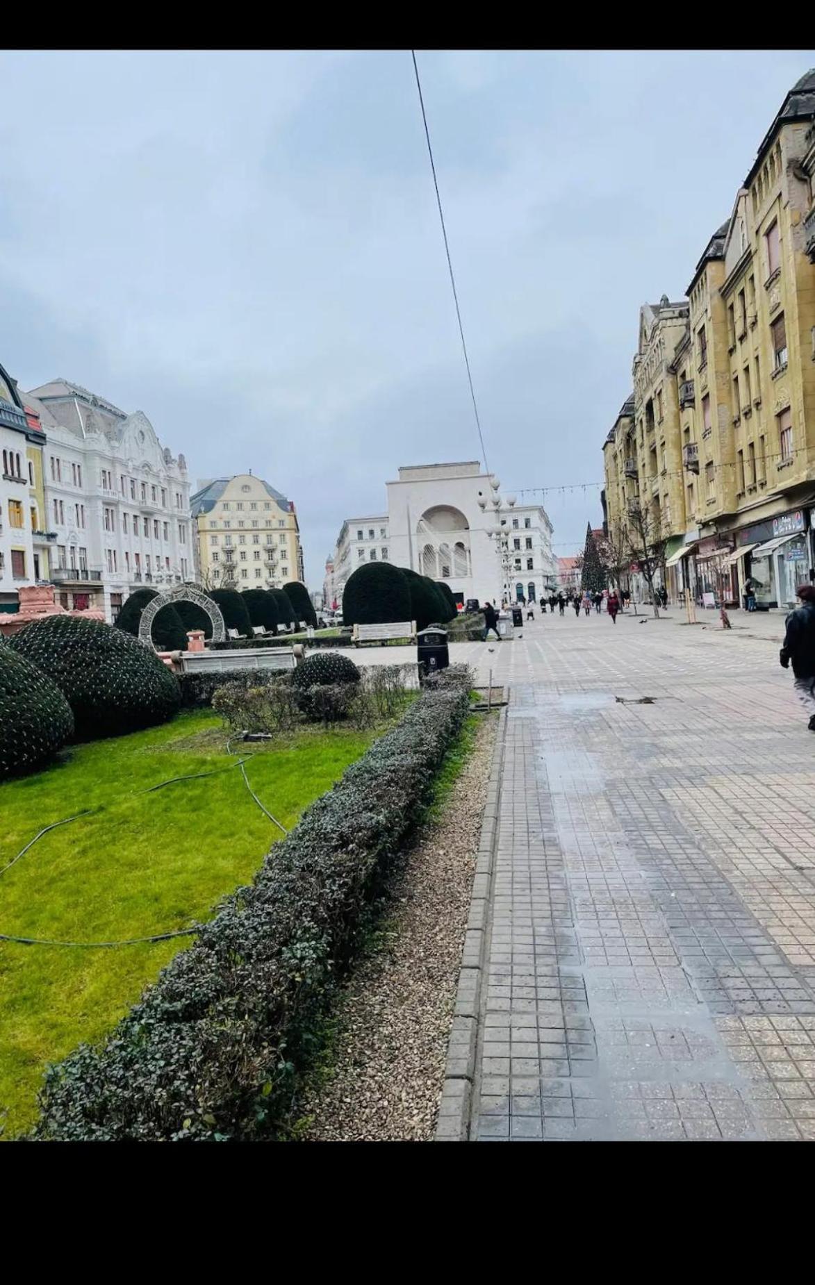 Victoriei Square By David Apartment *
