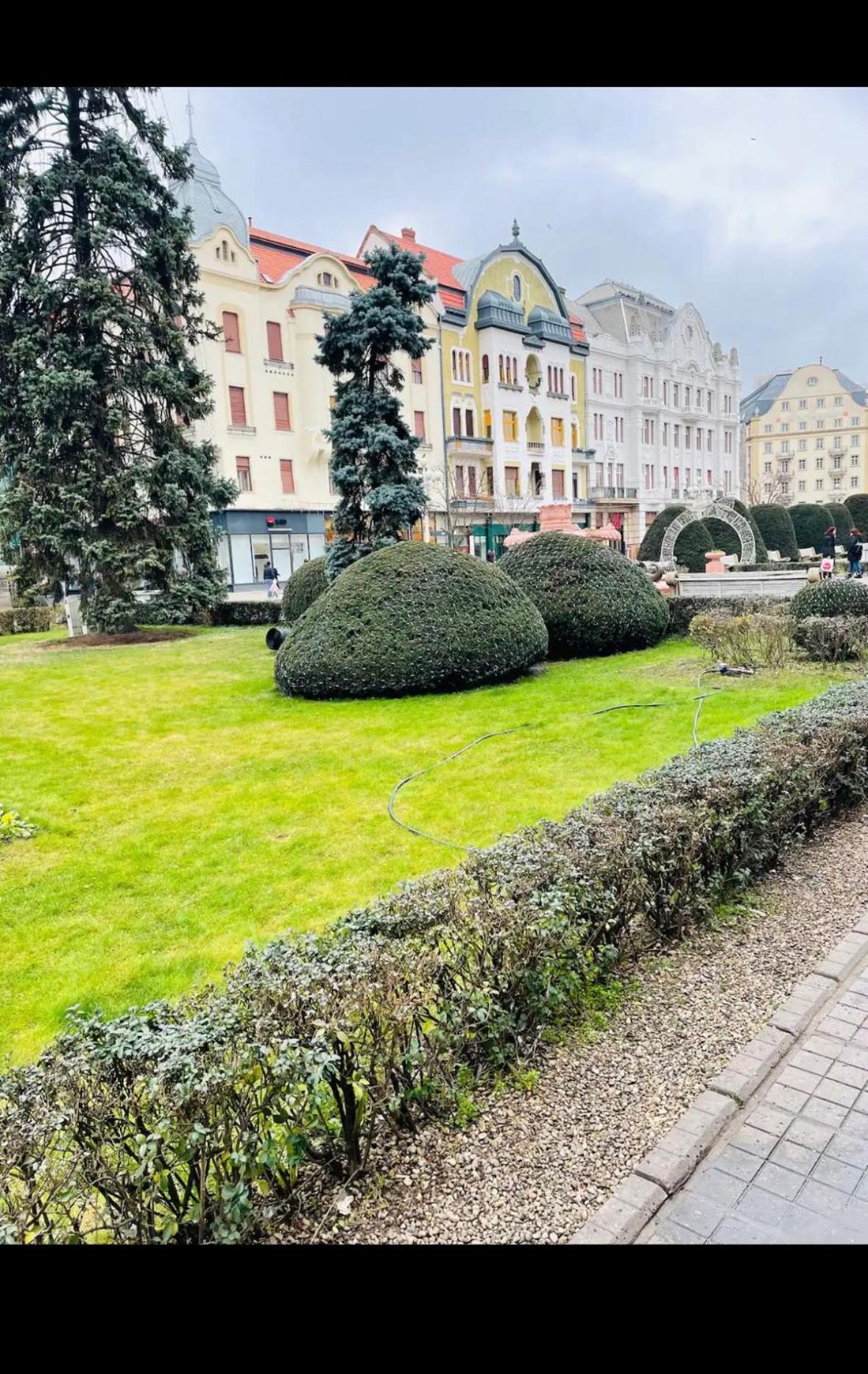 Victoriei Square By David Apartament